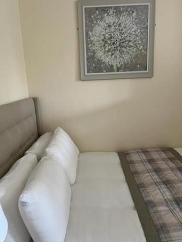 Waverley Inn Flat Inverness Buitenkant foto